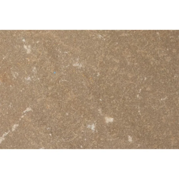 Raj - Image 7