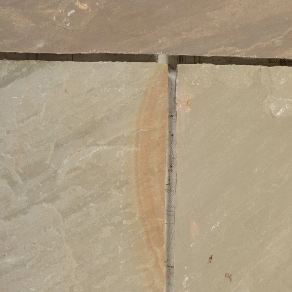 Camel - Image 4