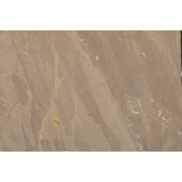 Camel - Image 3