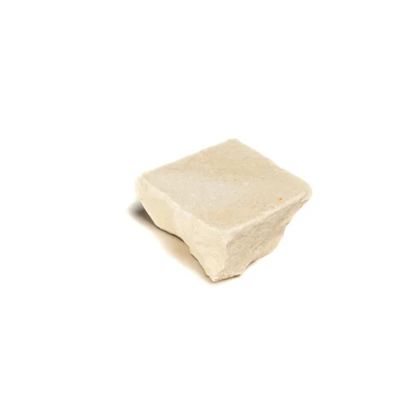 Camel - Image 3