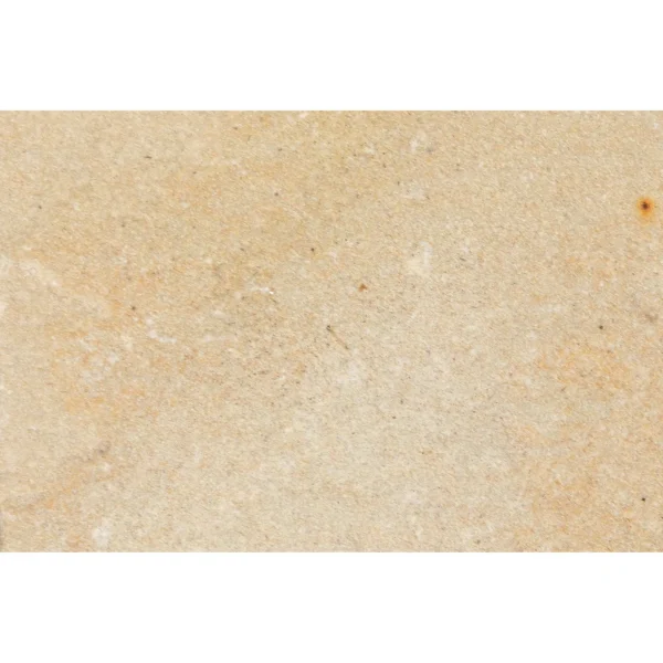 Camel - Image 7